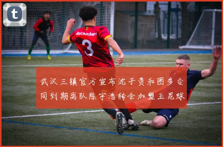 武汉三镇官方宣布沈子贵和图多合同到期离队陈宇浩转会加盟玉昆球队