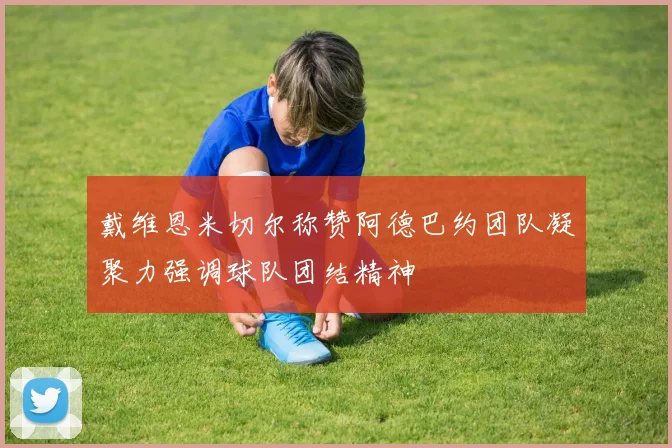 戴维恩米切尔称赞阿德巴约团队凝聚力强调球队团结精神
