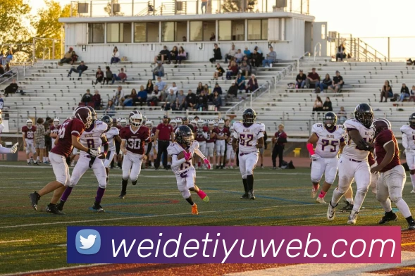 App Interface Preview